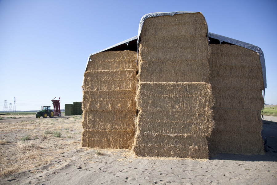 Large hay stack