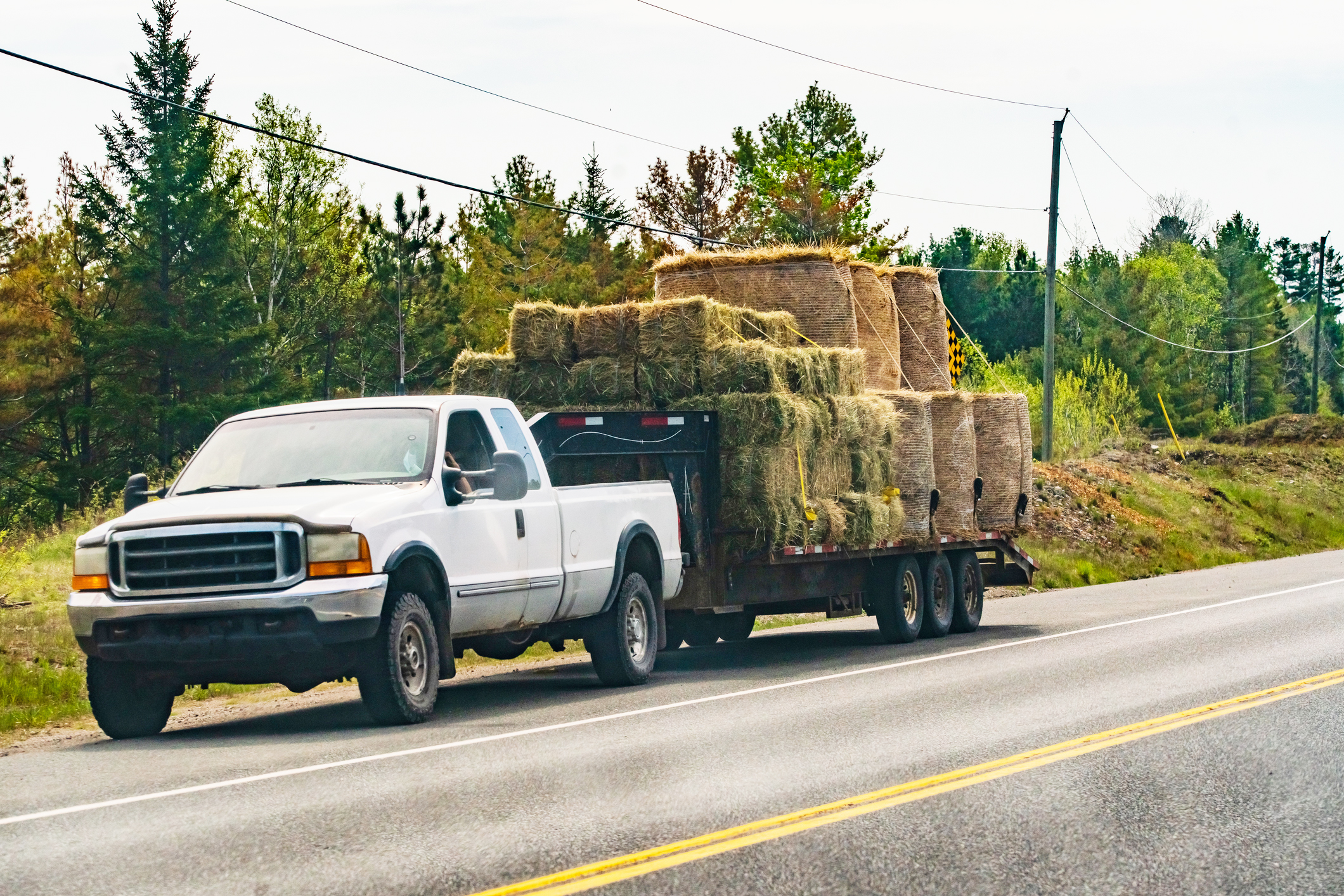 Pickup truck hauling hay